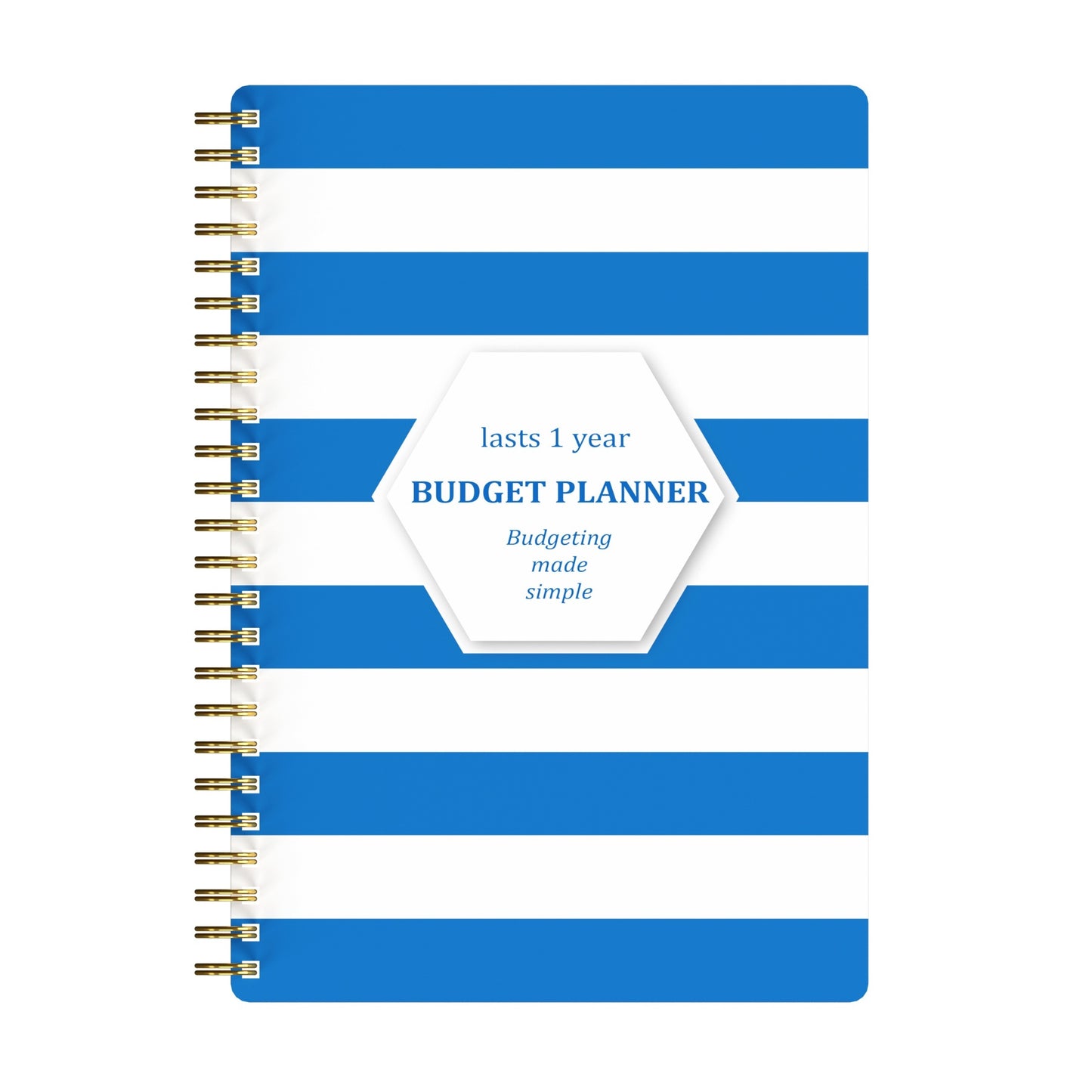12-Month Budget Planner